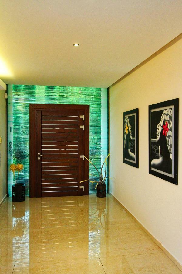 Aerides Luxury Villa PalaiónTsiflíkion Kültér fotó